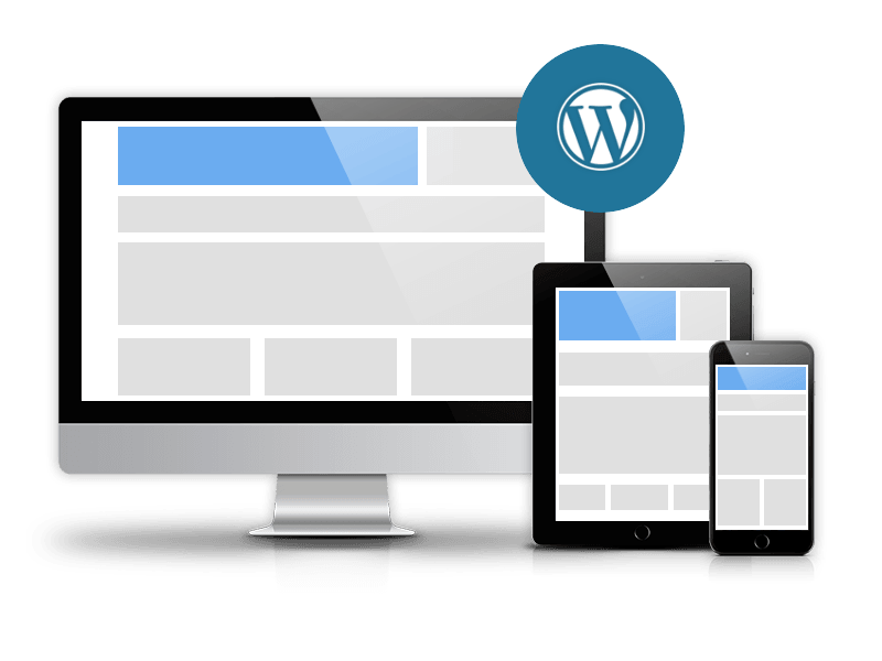 The perfect WordPress theme – what is it and how to choose?